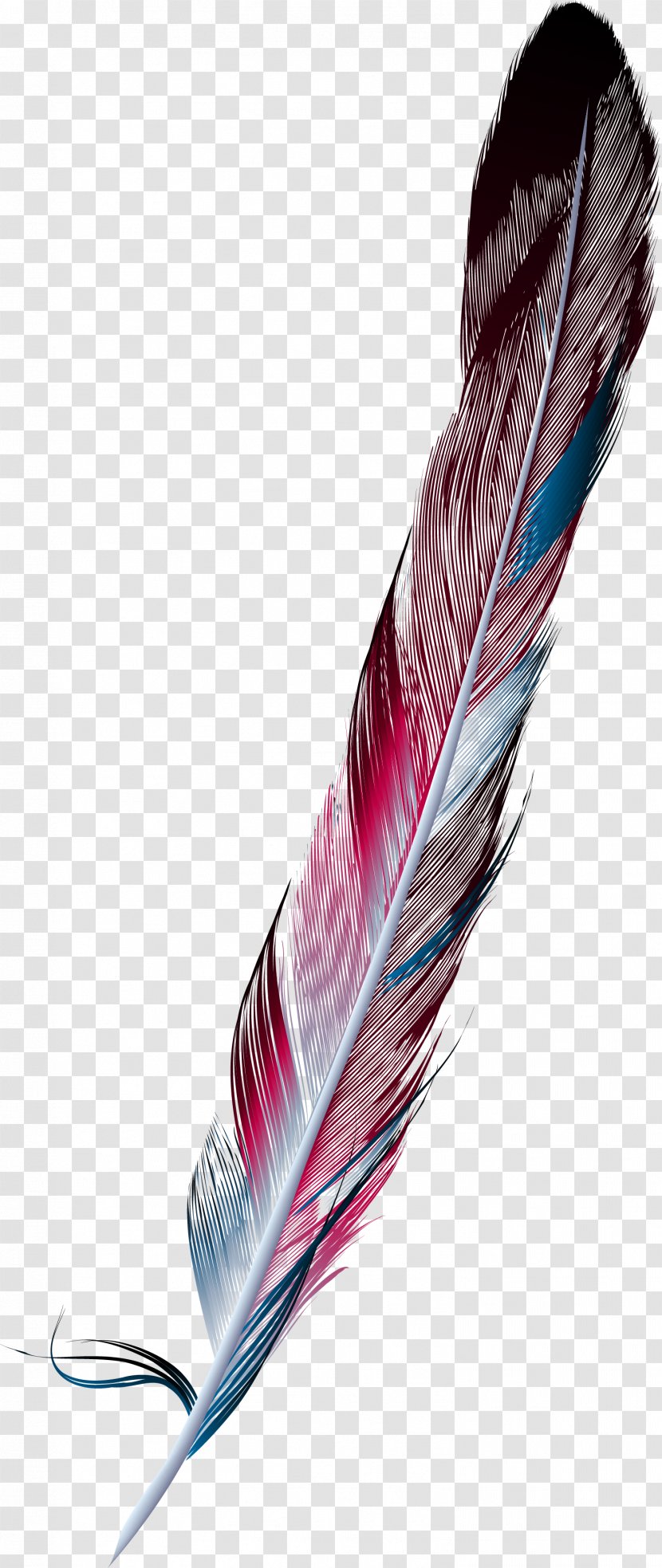 Feather Painting Drawing - Color - Hand Painted Colorful Transparent PNG