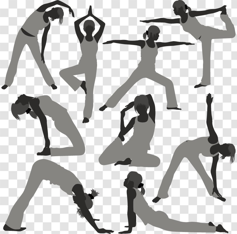 Physical Exercise Yoga Asento Ball - Stock Photography - Female Fitness Material Transparent PNG