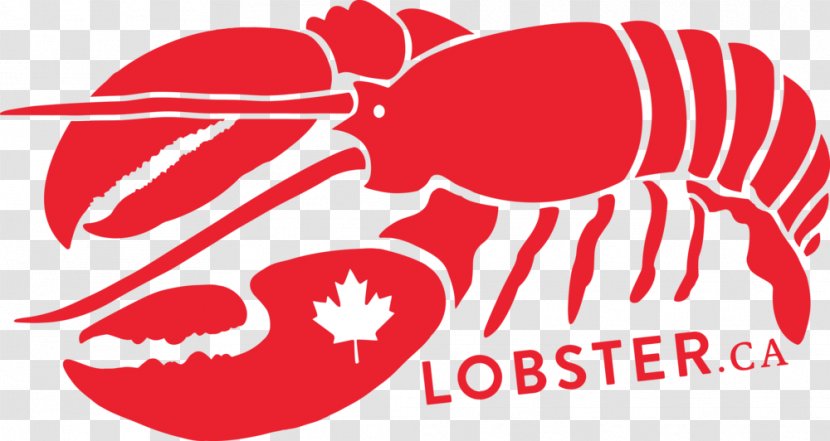 American Lobster Rappie Pie Seafood Palinurus - Flower Transparent PNG