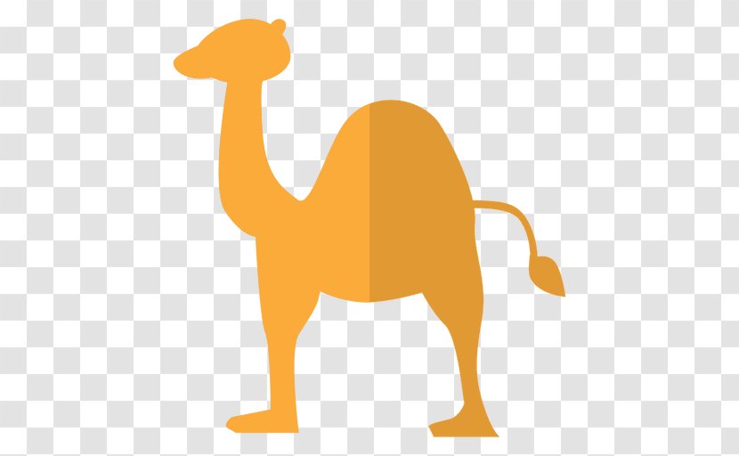 Bactrian Camel Dromedary Cartoon Clip Art - Animal Figure Transparent PNG