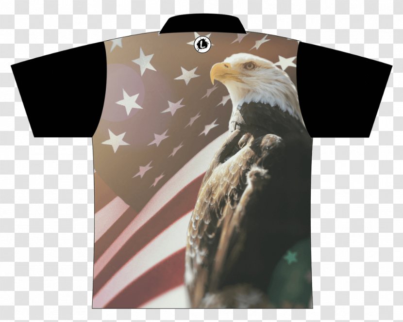 Bald Eagle United States Of America 2018 Clayton Harvest Festival's Military Crossroads Flag The - Mbc 3 Transparent PNG