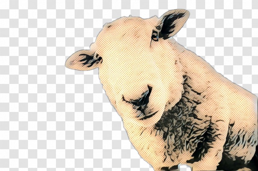 Sheep Cattle Neck Snout Transparent PNG