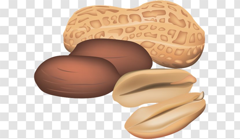 Peanut Clip Art - Butter - Nut Transparent PNG