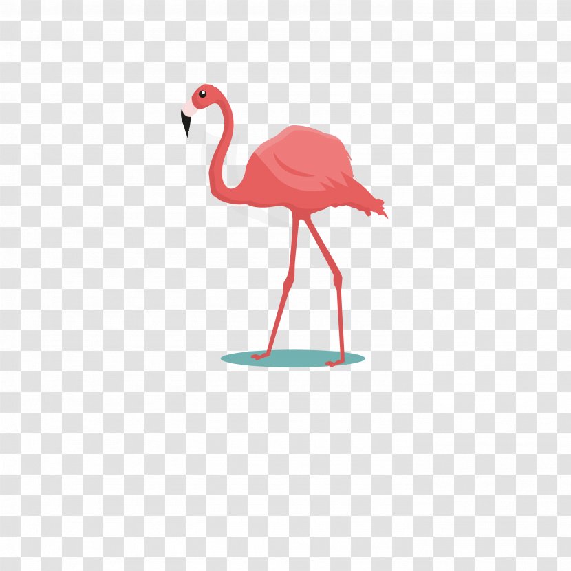 Flamingos Bird Common Ostrich Parrot Cartoon - Water - Vector Transparent PNG