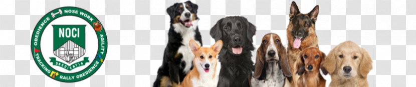 For Your K9, Inc., Chicago Area Dog Training K9 Enrichment Initiative, Inc. Ski Bindings - Brand Transparent PNG