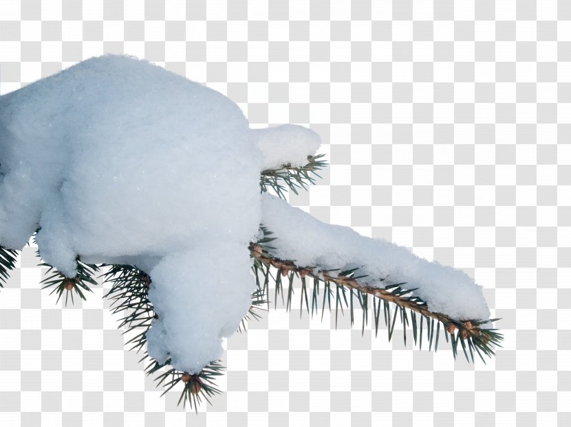 Snow Clip Art - Snowdrift Transparent PNG