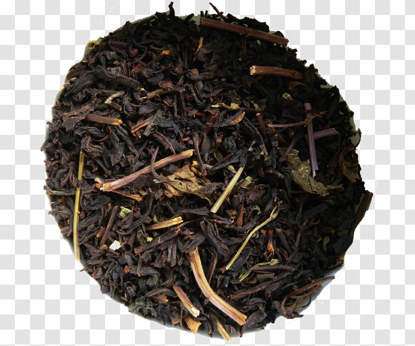 Nilgiri Tea Dianhong Romeritos Golden Monkey - Oolong Transparent PNG