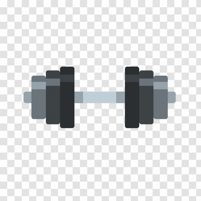 Dumbbell Euclidean Vector Bodybuilding Physical Exercise Illustration - Pattern - Gray Transparent PNG