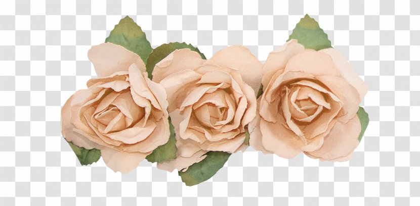 Garden Roses Floral Design Cut Flowers Flower Bouquet - Plant Transparent PNG