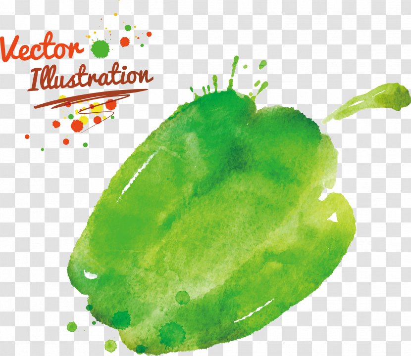 Bell Pepper Matbukha Chili Vegetable - Watercolor Painted Vegetables Transparent PNG