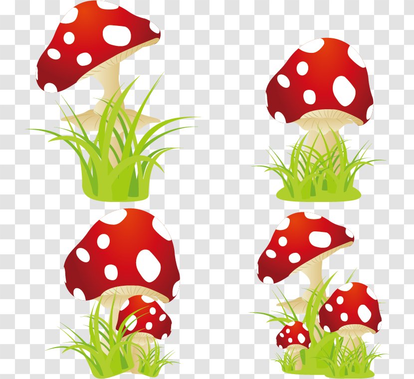 Amanita Muscaria Edible Mushroom - Fruit - Vector Mushrooms Transparent PNG