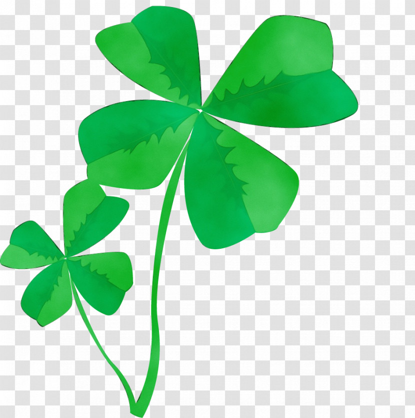 Shamrock Transparent PNG