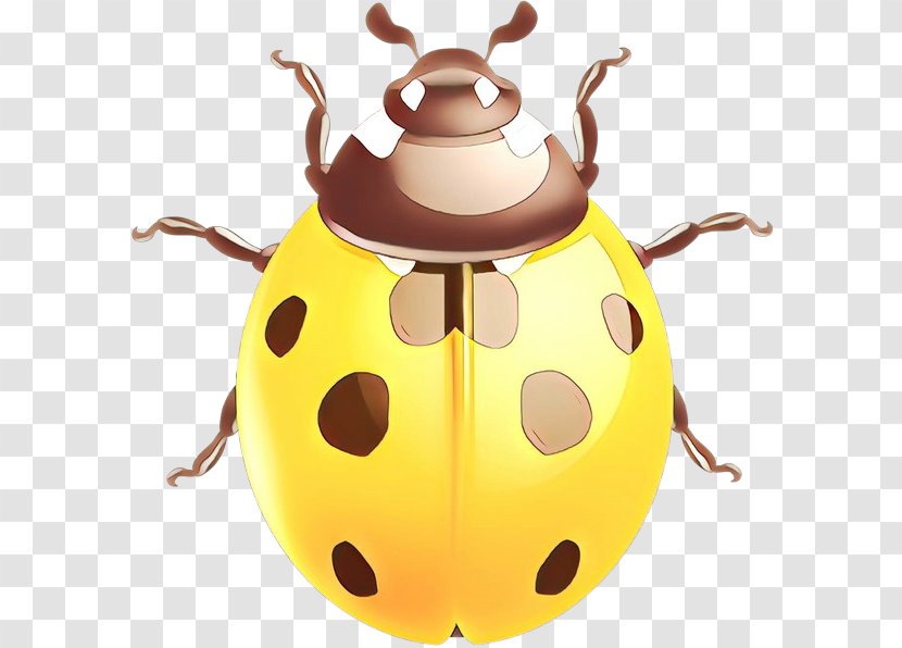 Insect Yellow Beetle Leaf Darkling Beetles Transparent PNG