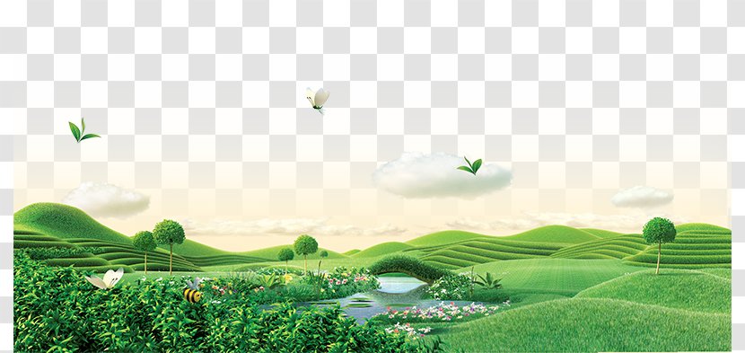 Green Tea Wallpaper - Plantation - Large Tracts Of Transparent PNG