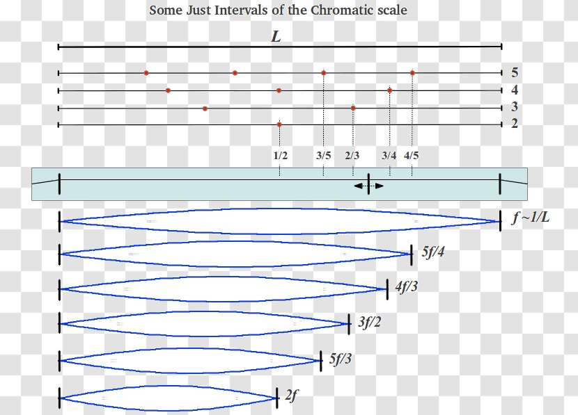 Line Point Angle - Area Transparent PNG