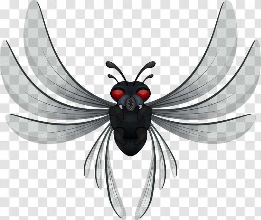Clip Art Inkscape Image Drawing - Beetle - Bichos Business Transparent PNG