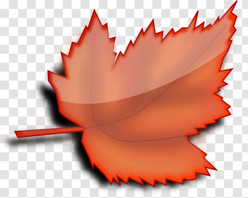 Autumn Leaf Color Clip Art - Mouth Transparent PNG