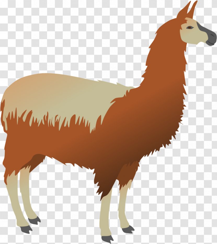 Llama Alpaca Vicuña Pack Animal Clip Art - Pet - Mug Transparent PNG