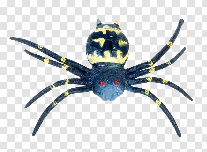 Spider-Man Southern Black Widow - Arthropod - Spider Transparent PNG