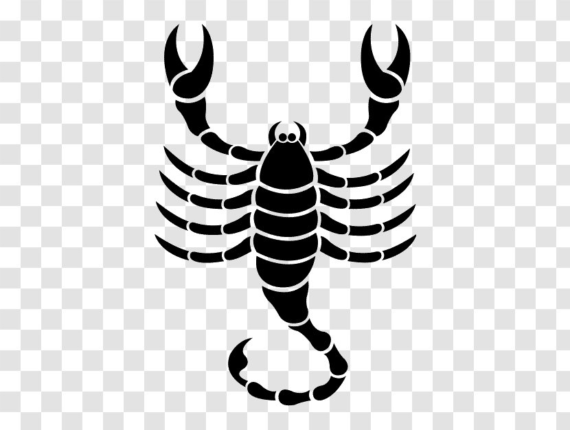 Scorpio Astrological Sign Astrology Zodiac Symbols - Invertebrate Transparent PNG