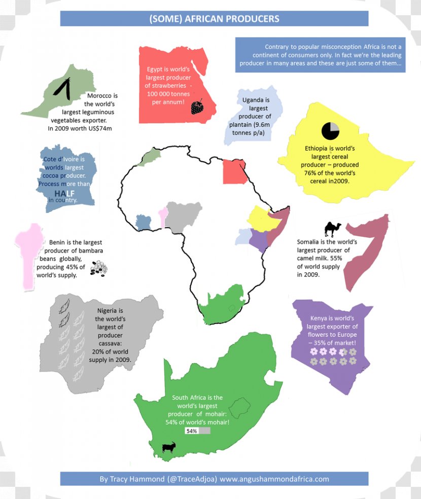 South Africa Infographic Diagram Data Education - Organism - In Transparent PNG