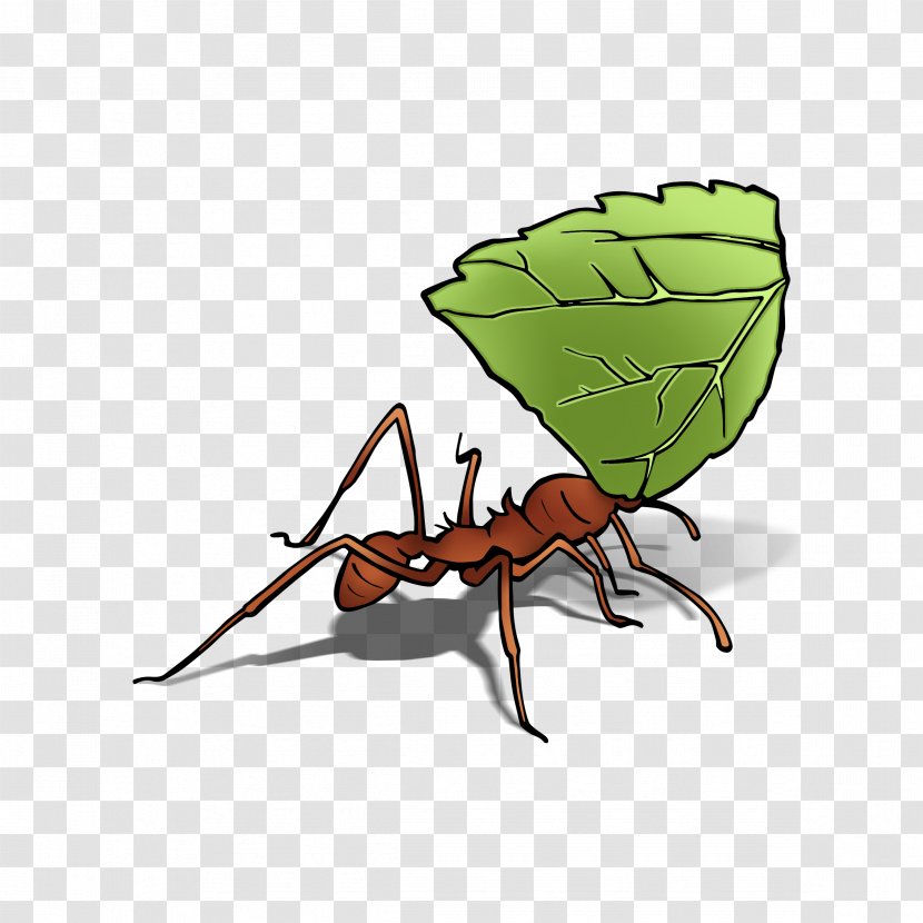 Digiwave ANT7288 Leafcutter Ant Insect Queen - Cartoon - Leaf Cutter Ants Transparent PNG