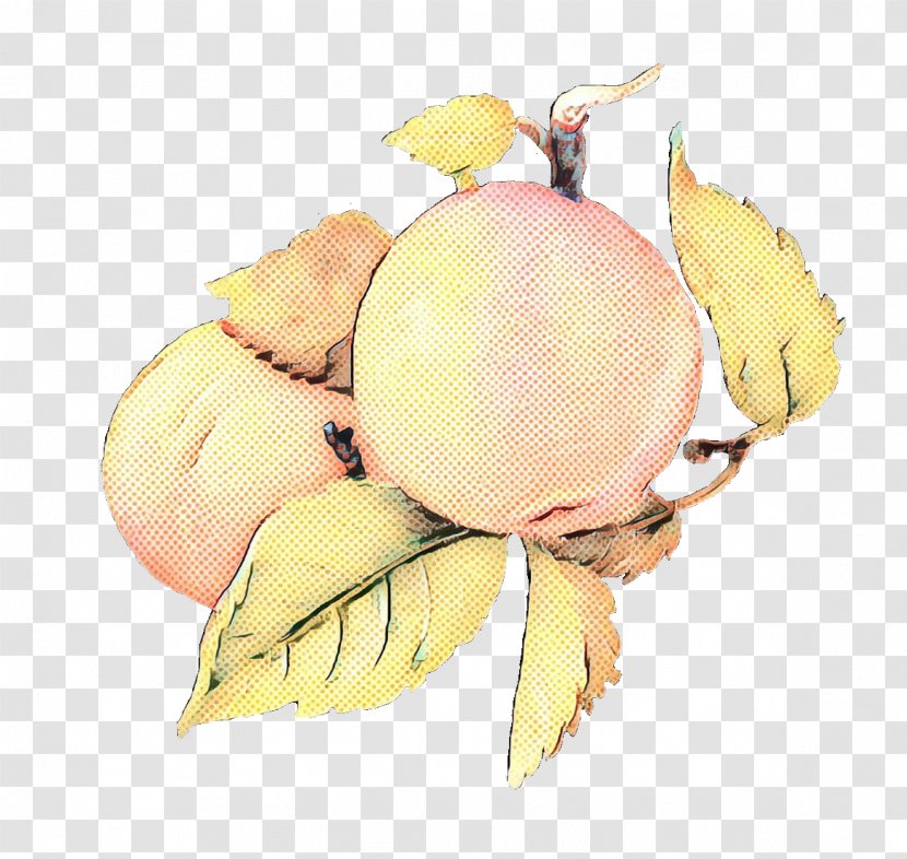Fruit Cartoon - Yellow - Plant Transparent PNG