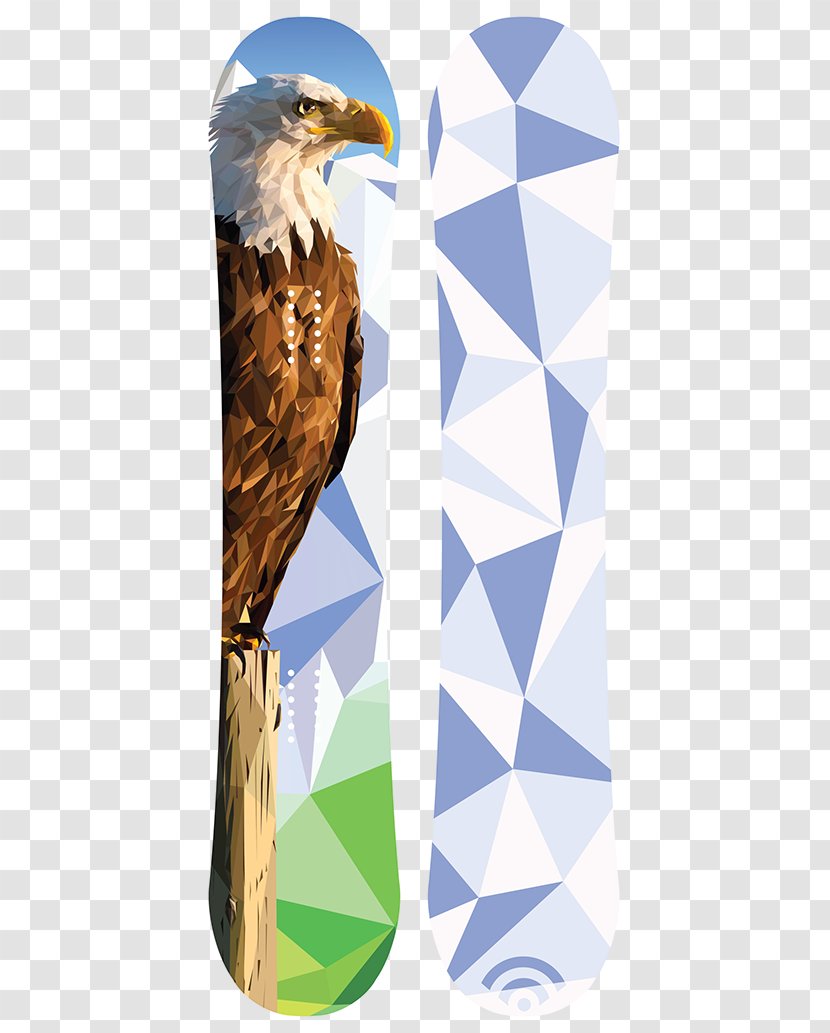 Eagle Beak - Bird Of Prey Transparent PNG