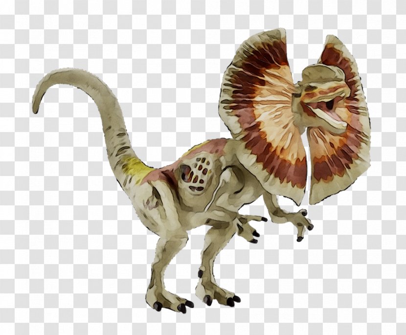 Velociraptor Dinosaur Dilophosaurus Triceratops Stegosaurus - Drawing Transparent PNG