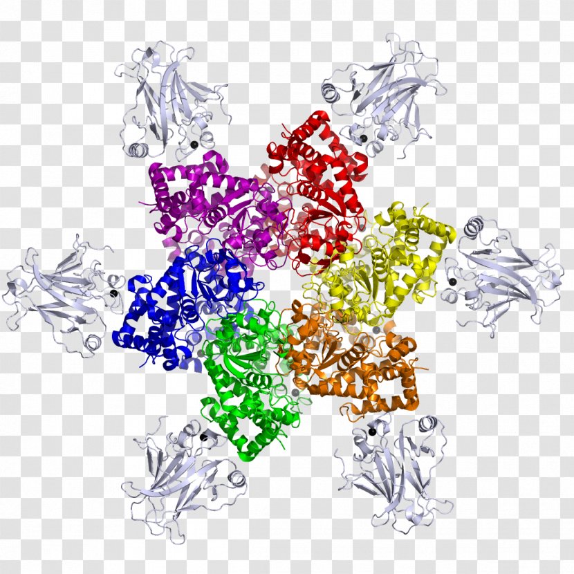 SV40 Large T Antigen Tumor Virus Cell - Watercolor - Common Transparent PNG