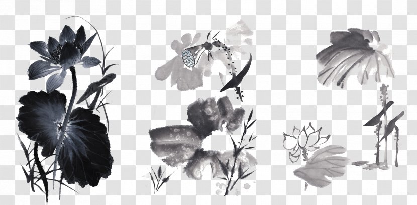 Nelumbo Nucifera Painting Ink Lotus Seed - Effect - Chinese Transparent PNG