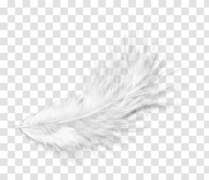 White Feather Black Pattern - Monochrome - Floating Hair Transparent PNG