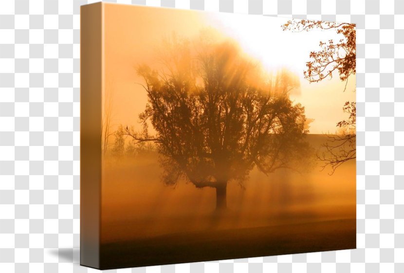 Desktop Wallpaper Stock Photography Kolej Tuanku Ja'afar Computer - Landscape - Gold Mist Transparent PNG