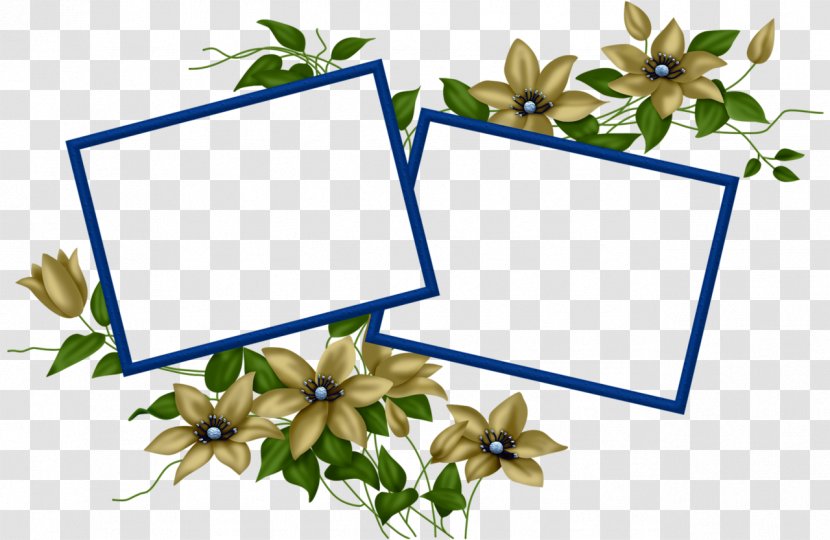 Floral Design 0 1 2 - Plant Transparent PNG