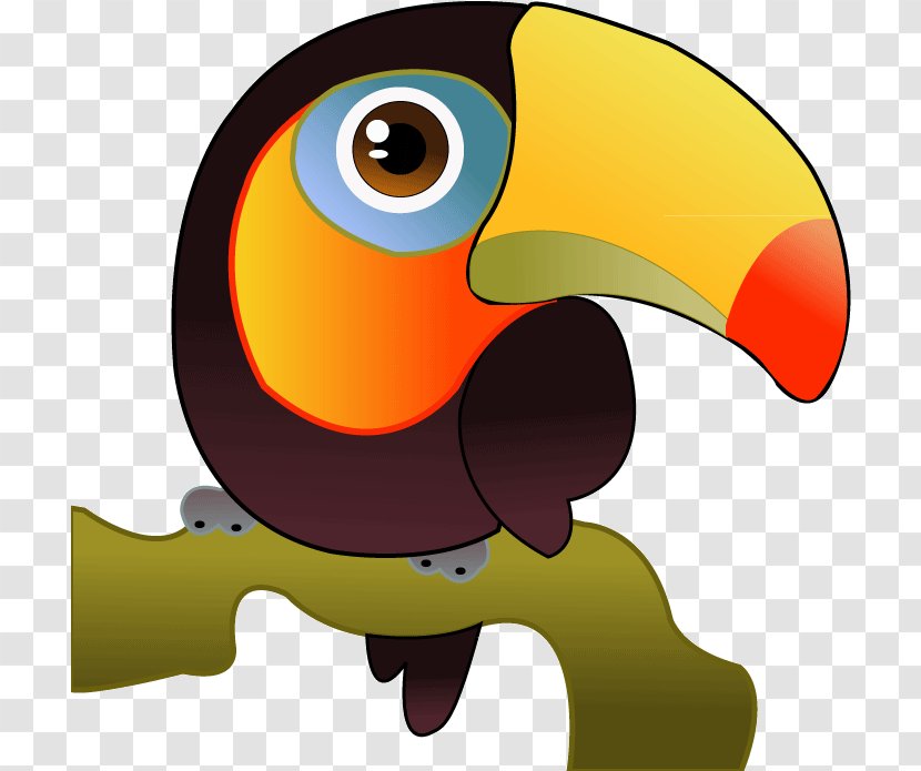 Hornbill Bird - Cartoon Transparent PNG