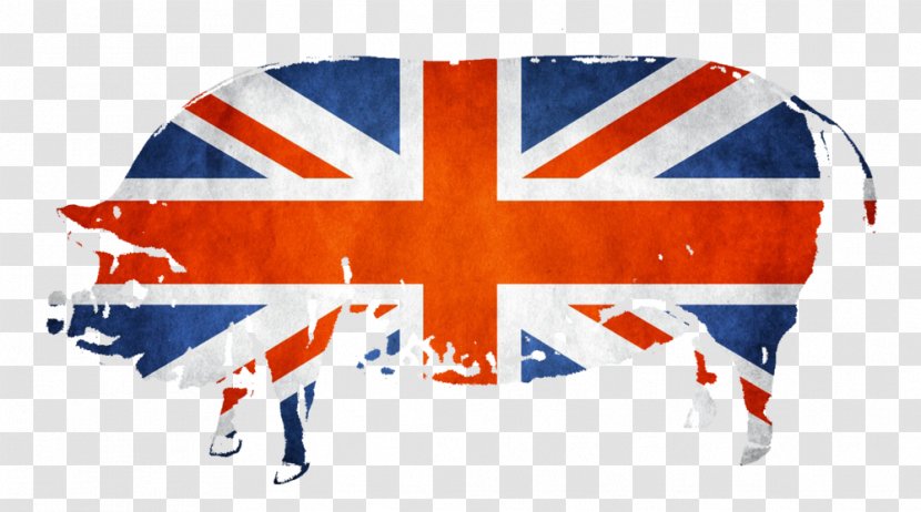 Union Jack Great Britain Flag Of England Australia - Red Ensign - Seasoning Flavors Transparent PNG