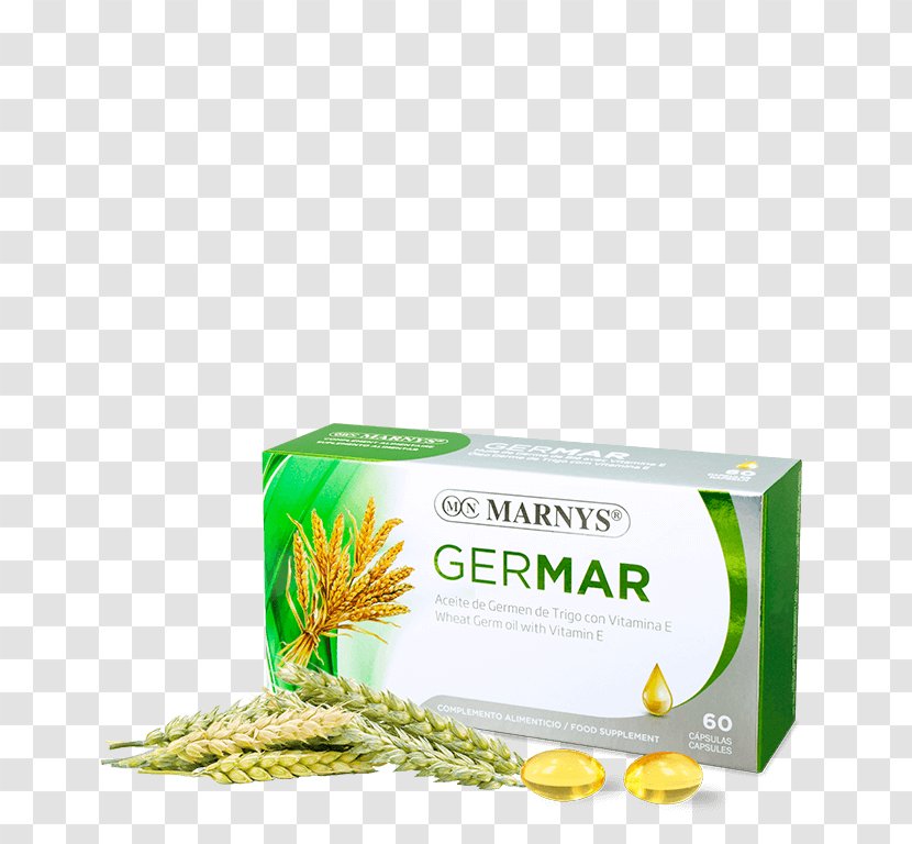 Dietary Supplement Wheat Germ Oil Capsule Cereal Vitamin - Milligram - Health Transparent PNG