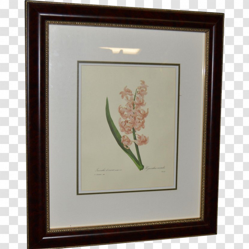 Painting Picture Frames Kunstdruck Botany Rectangle Transparent PNG