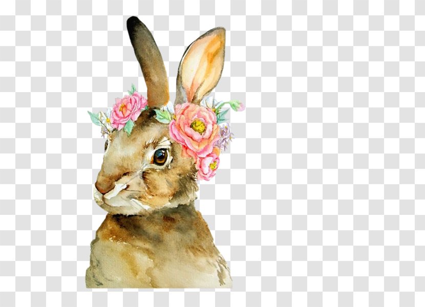 The Tale Of Peter Rabbit Watercolor Painting Art Transparent PNG