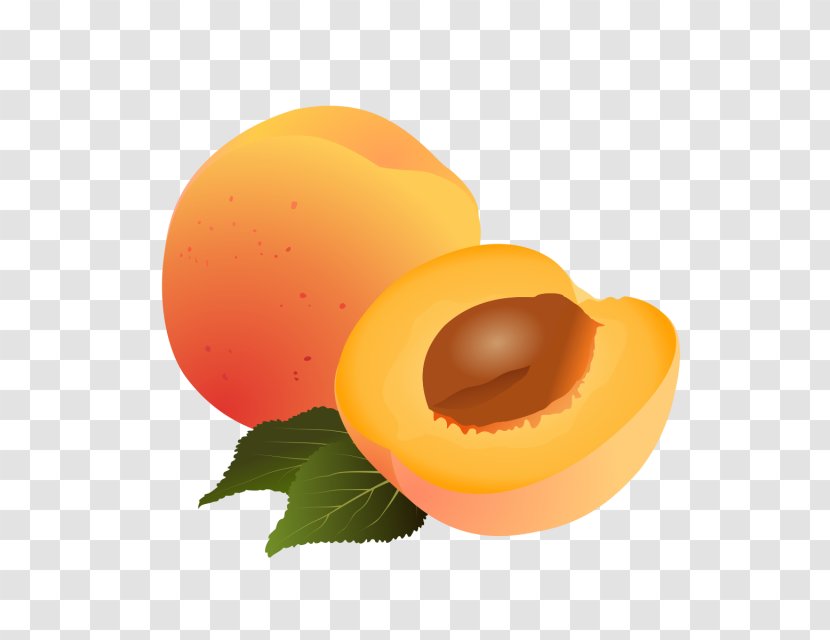 Apricot Drawing Fruit Clip Art Image - Orange - Ninja Transparent PNG