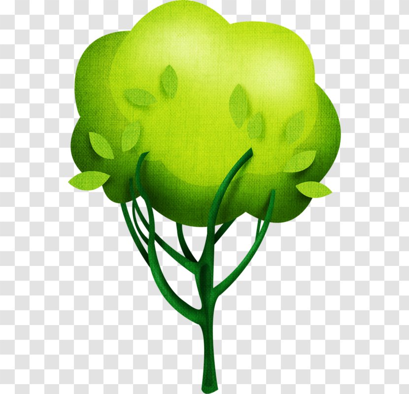 Tree Apple Oak Fruit Clip Art - Green Transparent PNG
