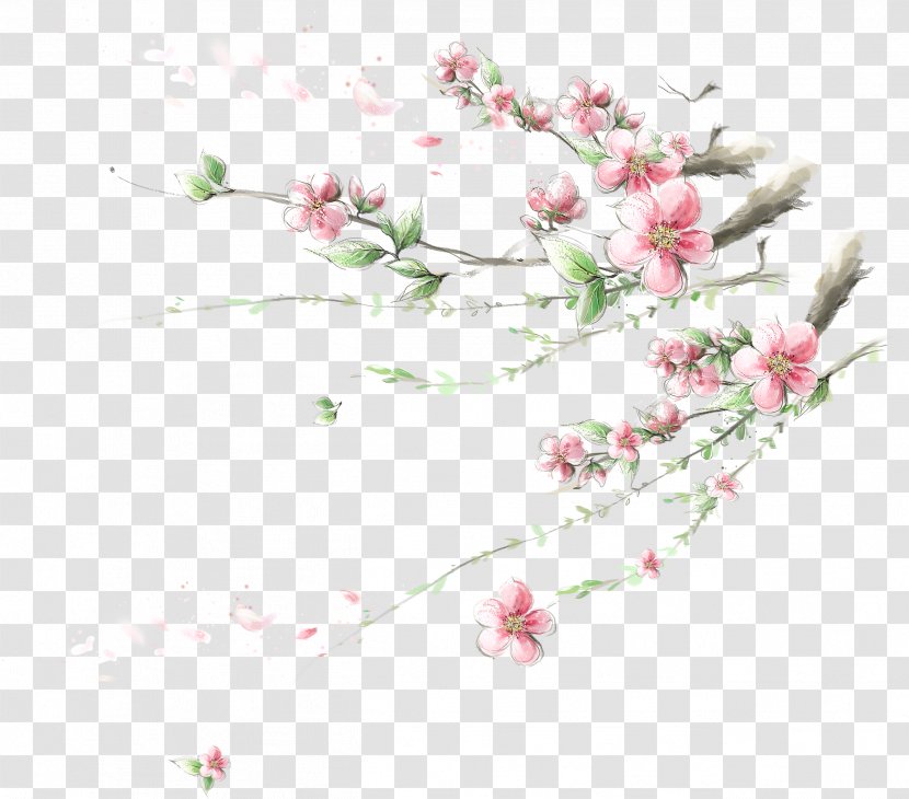 Flower Cherry Blossom Apple Wallpaper - Flowering Plant - Plum Transparent PNG