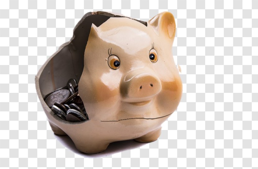 Piggy Bank Domestic Pig Saving Investment - Consumption - Ceramic Transparent PNG