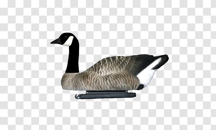 Canada Goose Mallard Dakota Decoy LLC - Llc Transparent PNG