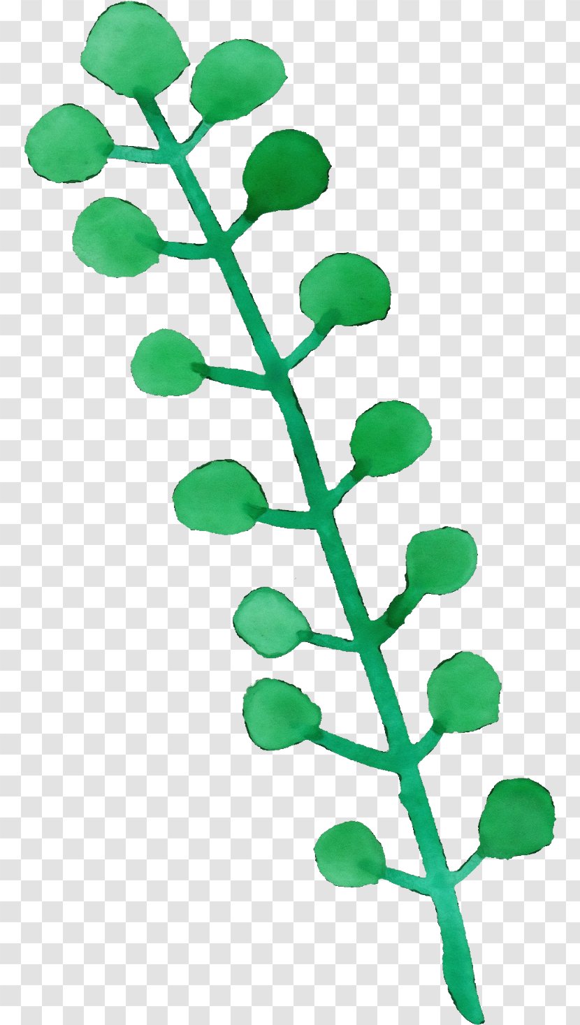 Green Leaf Background - Flower Plant Transparent PNG