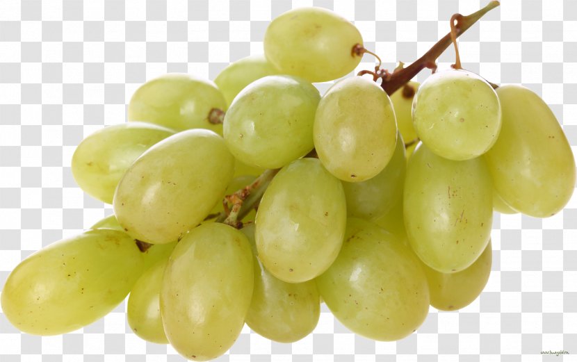Common Grape Vine Wine Sultana - Berry Transparent PNG