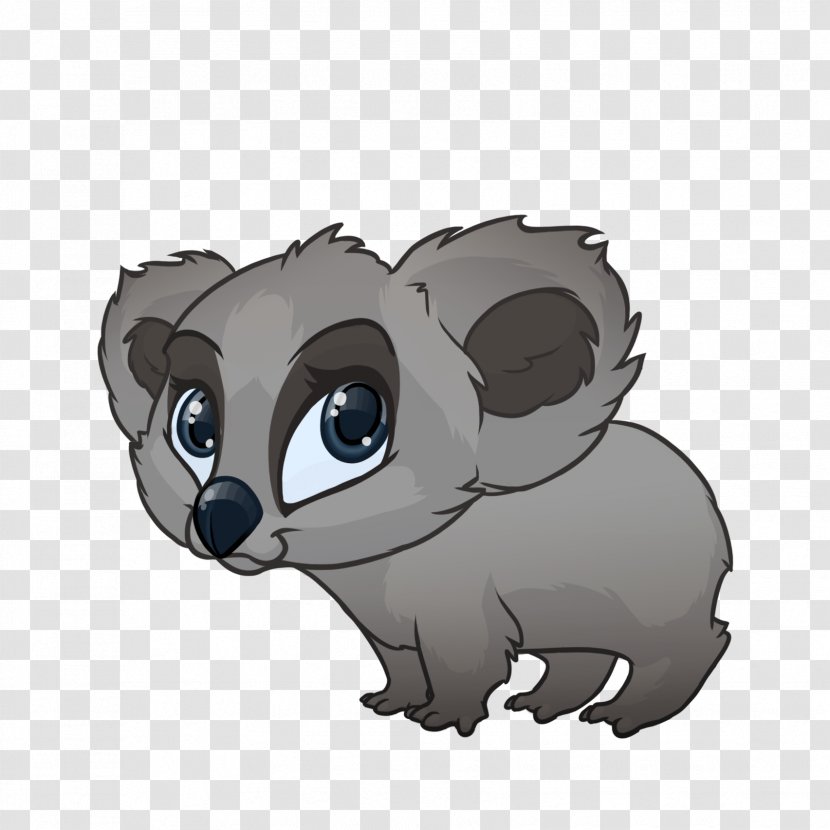 Raccoon Mammal Procyonidae Carnivora Cat - Bear - Koala Transparent PNG
