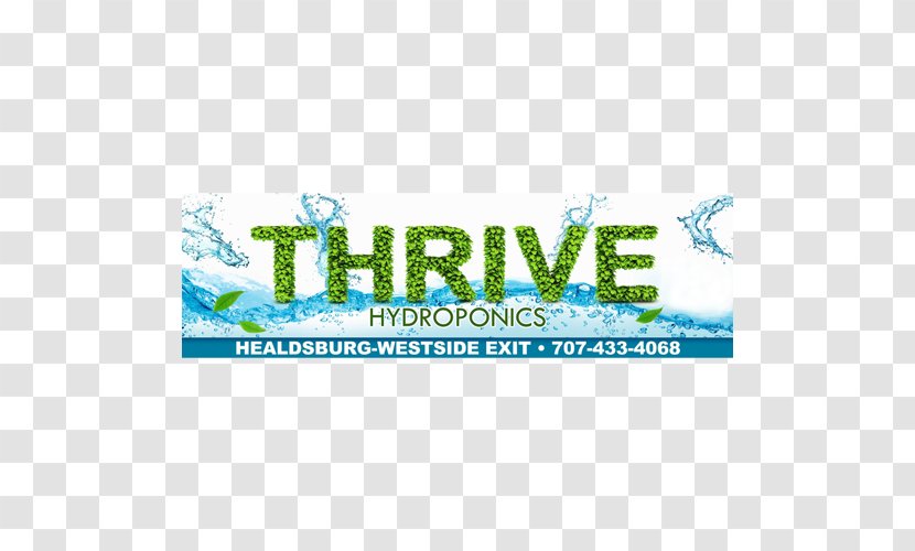 Logo Water Brand Line Font Transparent PNG