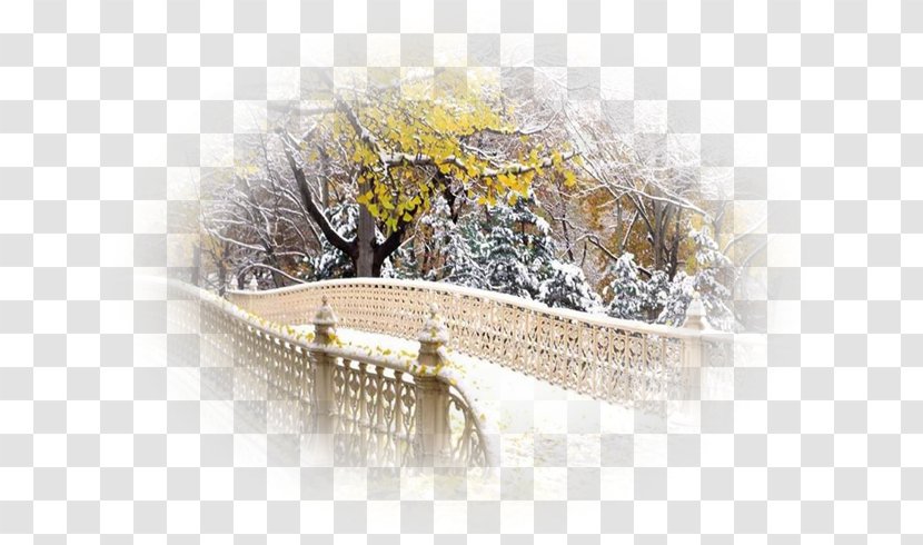 Central Park Desktop Wallpaper The San Remo - Winter - PhotoFiltre Transparent PNG