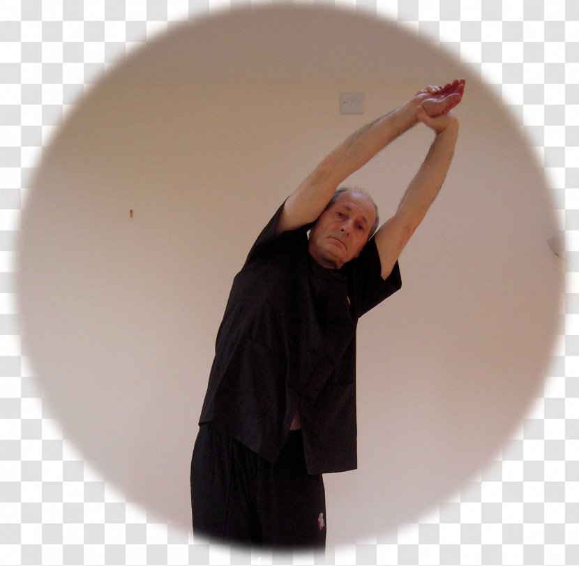 Tai Chi Wudang T'ai Ch'uan Martial Arts Qigong Self-defense - Mixed Transparent PNG